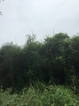 2017-09-10_20-46-02_87F9D06B-806B-4CD3-8E50-A61B77A5216E.jpg