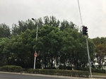 2017-09-10_06-24-53_3FF42BE5-E18C-41C6-B31B-E83BBB48922C.jpg