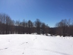 2017-02-24_14-46-20_Feb17-117-VT.jpg
