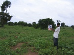 837070-cropland-proposed-cleared-6months-back-a.jpg