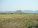 9190DSC04027.JPG
