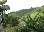 5506100_0873.JPG