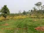 38883CIMG4431.gps.jpg