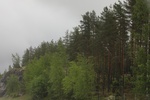 2018-04-14_14-18-42_2017-06-12 05.43.32.jpg