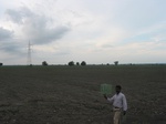 9883gt116a_fallow.gif