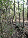 2012-09-24_10-40-17_DSC03110.JPG