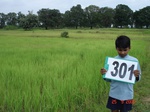 73940301b-rainfed-agriculture-rice.jpg