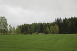 2018-04-14_14-18-47_2017-06-12 06.38.45.jpg