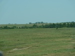21457P1010102.JPG