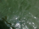 58329CIMG2778.JPG