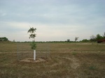 2012-10-19_23-47-02_SD-YN-11-3.JPG