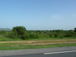 19378P1010224.JPG
