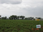 72930269d-irrigated-supplemental-groundwater-openwell-mixed-crop-chilli-dominant-cotton-maize.jpg