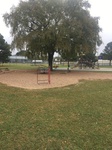 2020-10-29_07-19-10_IMG_2577.JPG