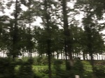 2017-09-10_20-32-32_D59B3284-8BA2-4CE8-A70C-A1EAEE232CF9.jpg
