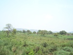 1783826042008(19).JPG