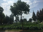 2017-09-12_13-31-57_9DDF8F68-5D17-4102-81B0-26573817B0EE.jpg