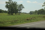 2022-05-26_14-15-44_DFA667F0-1B4F-4AA4-BD29-E450AAC625BB.jpeg