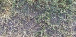2018-09-02_10-03-32_20180902_081750.jpg