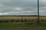 2021-02-02_12-04-30_DSC_0052.JPG