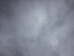 2017-02-22_12-01-05_Feb17-007-OK.jpg