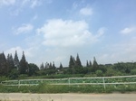 2017-09-12_12-33-20_81EA225C-3091-4AB0-9BF9-6FA56D10DAC8.jpg