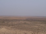 4653RIMG0079-1.JPG