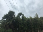 2017-09-10_06-57-53_6F17B036-9697-44DC-892C-1E8A68683E31.jpg
