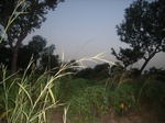 9025RIMG0103.JPG