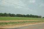 2022-06-11_15-46-19_09D4EFC8-FFDD-4015-BD42-E7C2D6BE6A71.jpeg