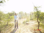 6532gt045-shrubland-1.jpg