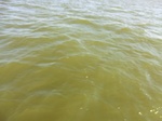 2012-09-21_14-25-31_CIMG0097.JPG