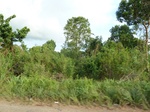 18340P1000176.JPG