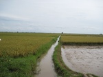 14312IMG_4652.JPG