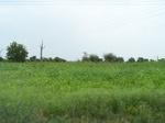 485102052008(46).JPG