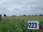 71400223c-rainfed-agriculture-maize-dominant-cotton.jpg