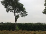 2017-09-12_10-25-53_E0ED4E2E-E539-453A-9662-F000FE09B972.jpg