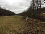 2018-03-27_22-10-09_E862E9E6-89D8-461D-8731-3A35DDDE3DFD.jpg