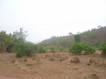 3971RIMG0275.JPG