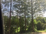2017-09-12_13-44-15_DEBD3283-0D5E-431E-B5BB-A8A795E9F44F.jpg