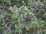 2012-09-27_14-25-49_267.JPG