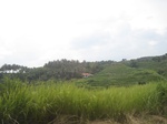 15886IMG_4433.JPG