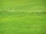 17471100_2160.JPG