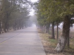 3080 013.jpg