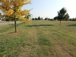 2012-09-24_21-09-01_CIMG0062.JPG