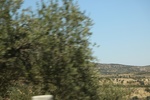 2018-11-15_18-57-09_2018-07-15 06.36.03.jpg