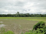 21305DSC00688.JPG