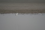 4148IMG_8785.JPG