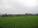 13917IMG_4202.JPG