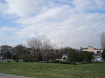 5955DSC05240.JPG